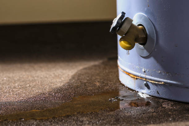 Trusted Water Damage Restoration in Bloomingdale, IL | Fast, Reliable, and Ready to Assist You